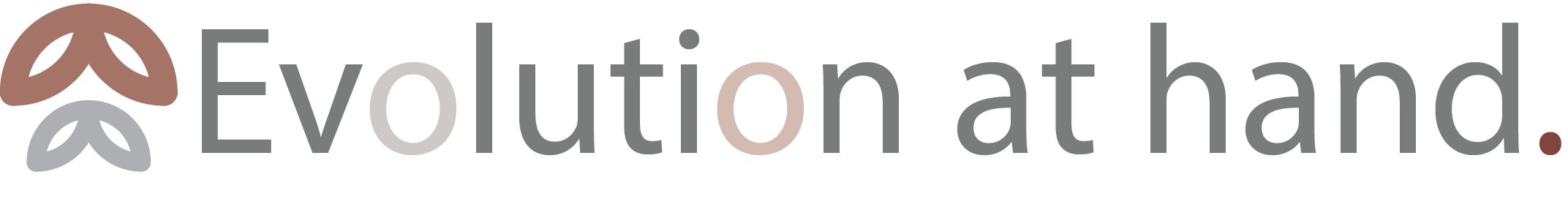 primatebrainbank